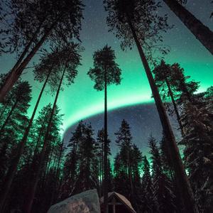 妓女潮喷的视频
